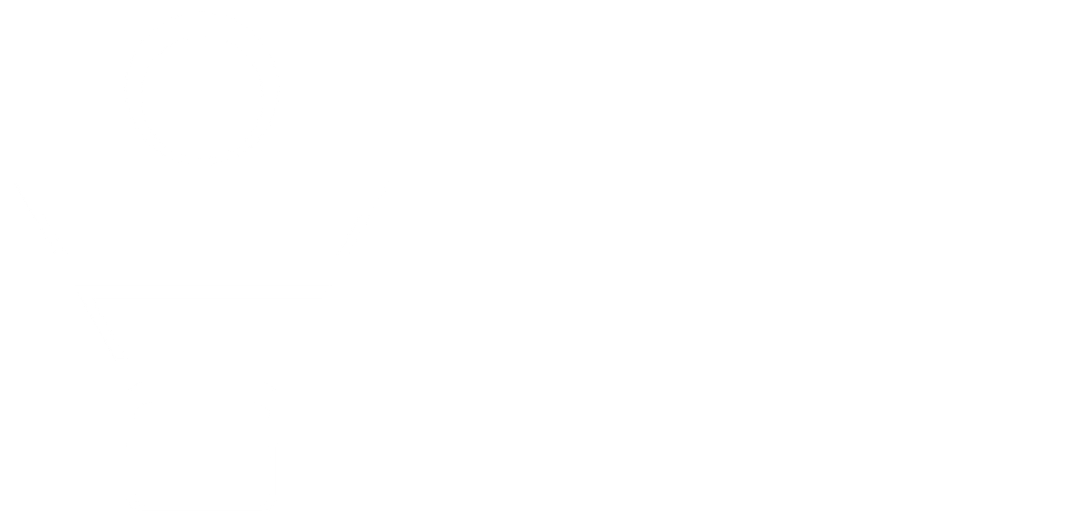 Chief Lead Officer